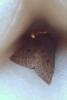 299840 – Photo : Moth-er – France (69)